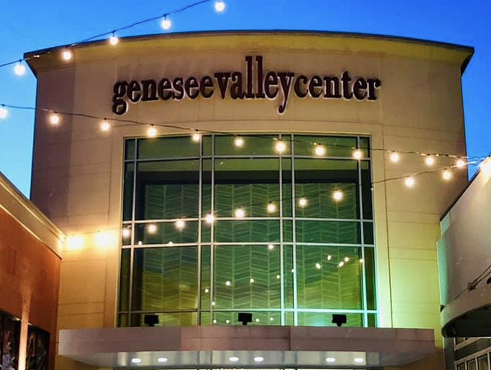 Join Pat and AJ at Genesee Valley Center on Black Friday