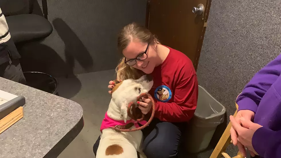 Meet Miss Mags at Genesee County Animal Control! [VIDEO]