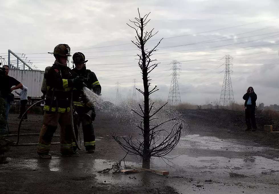 Michigan Fire Department Issues Warning About Dry Christmas Trees