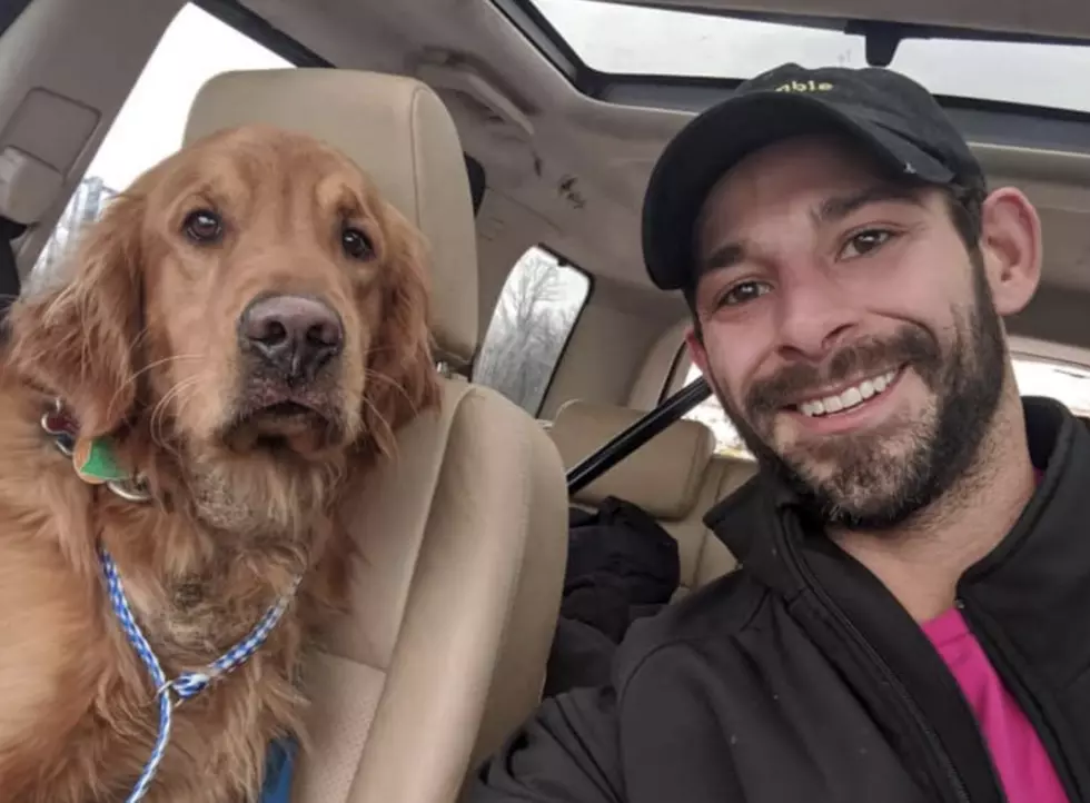 Michigan Family Reunited With Dog After Car Crash on Christmas – The Good News