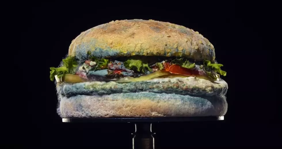Burger King Breaks the “Mold” with Their New Campaign