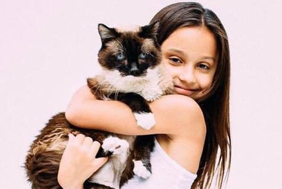 Cat Adoption Fees Lowered in Memory of  London Eisenbeis