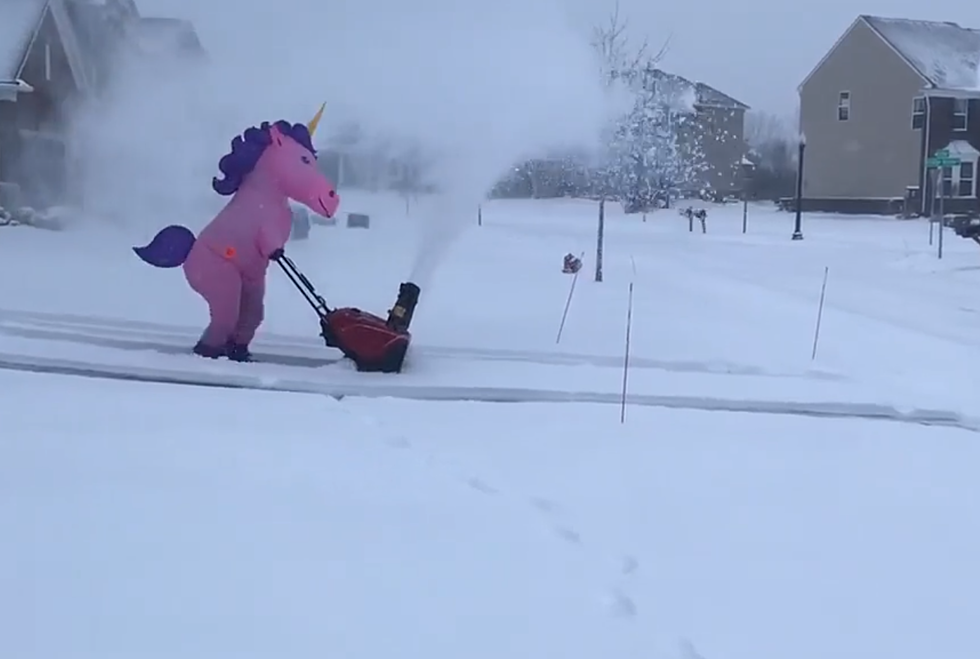 WATCH: Michigan Woman Snowblows Driveway as a Unicorn