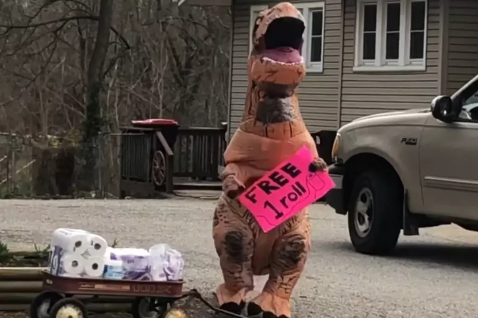T-Rex Hands Out Kindness One Roll of Toilet Paper at a Time [VIDEO]