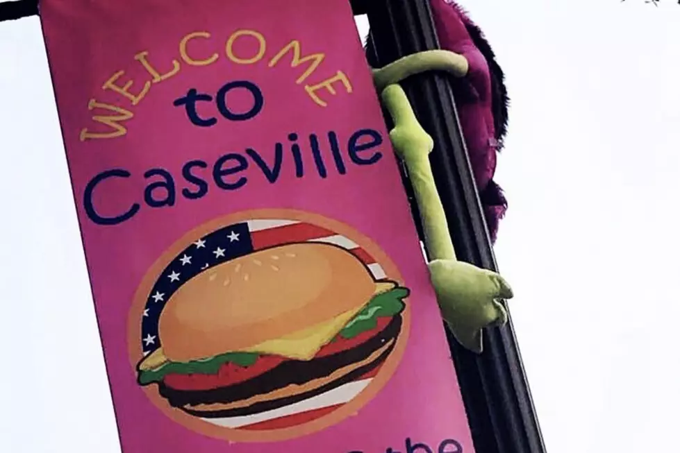 Cheeseburger in Caseville  Festival Canceled