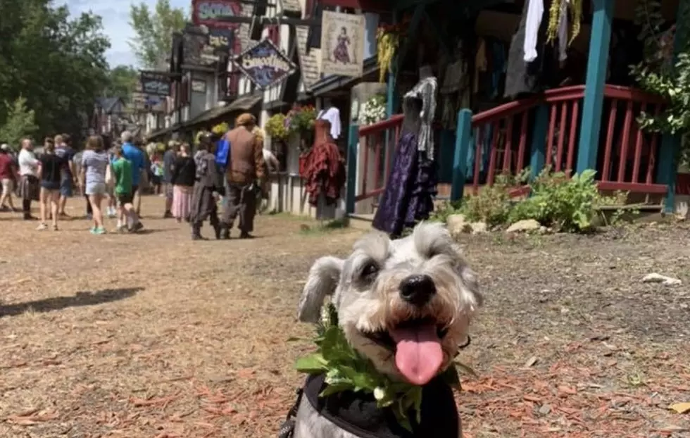 Is the Michigan Renaissance Festival Happening This Year? 