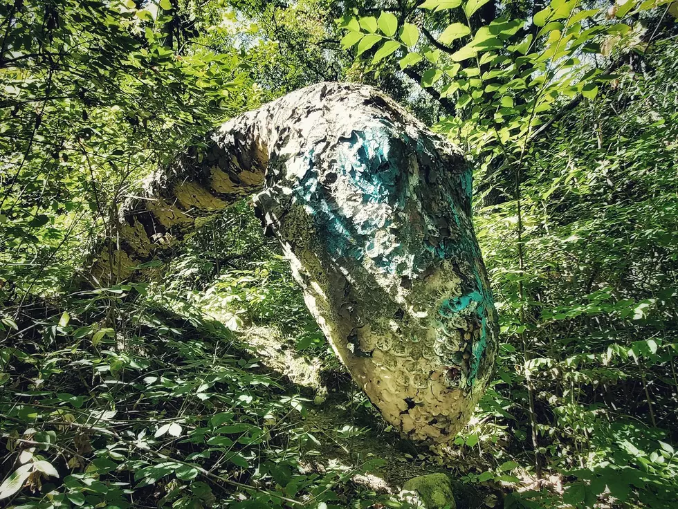 Land of the Lost:Abandoned Prehistoric Forest in Michigan