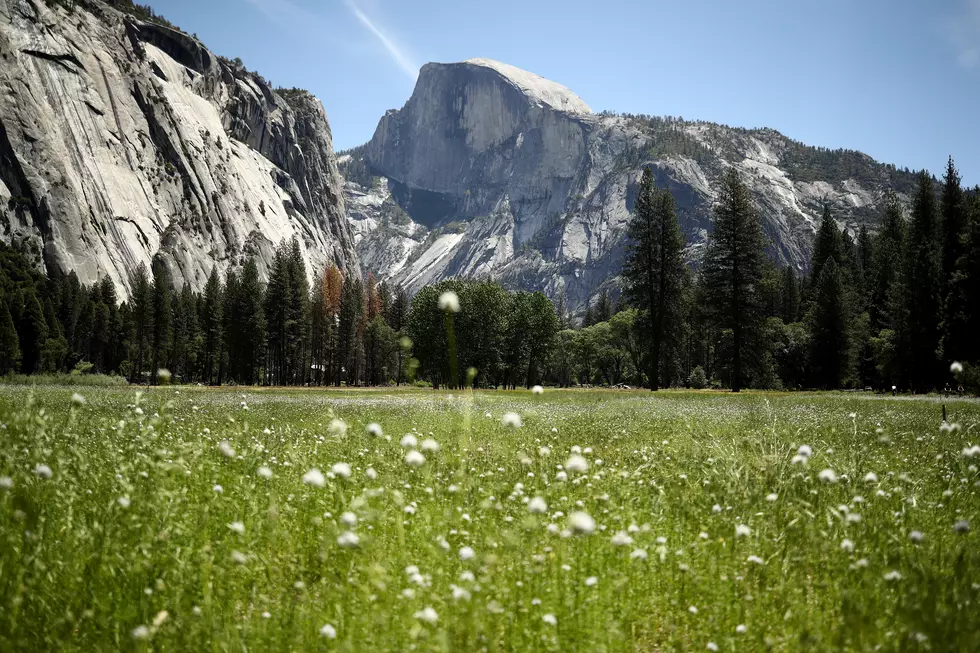 Beer Company Will Pay You $50,000 to Explore National Parks