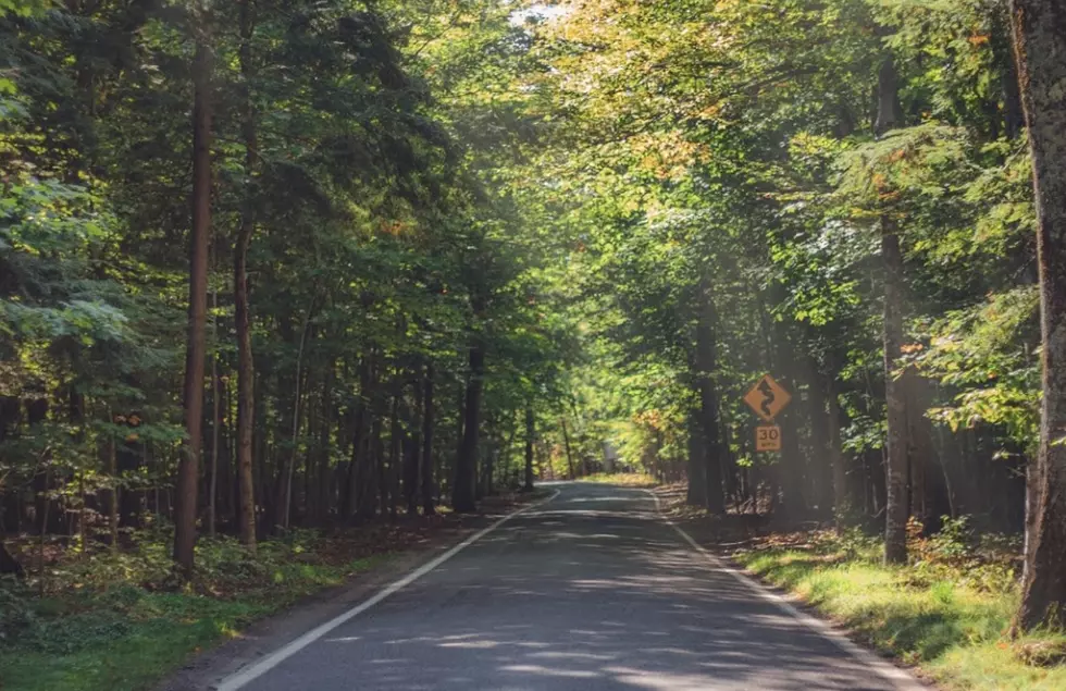 If You Want To See Michigan’s ‘Tunnel of Trees,’ Don’t Go Just Yet