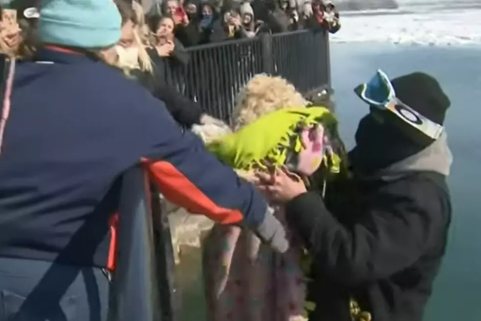 Dog Rescued After Being Stranded on Icy Detroit River for Four Days [VIDEO]