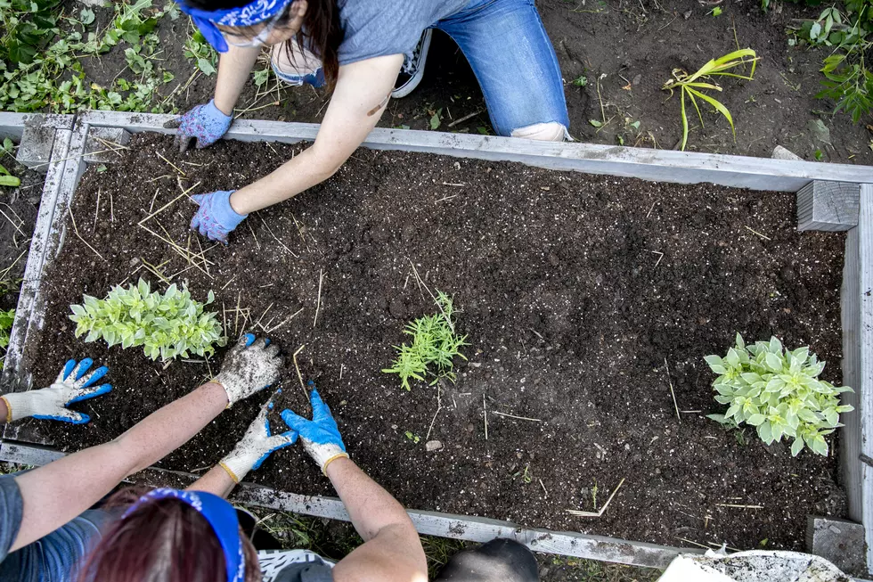 Genesee County Landbank 'Clean and Green' Project Accepting Apps