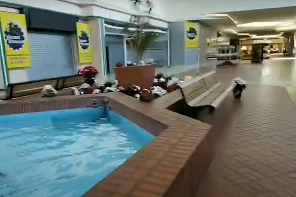 Take an Historic Look at Courtland Center Mall, Then + Now VIDEO