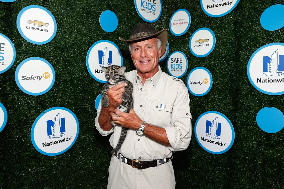 Jack Hanna, Tommy & Pam, & Mr. Dad Levine: The Dish