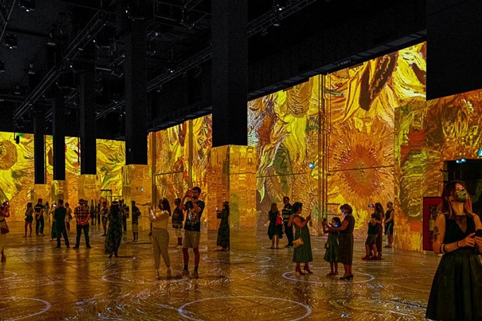 Immersive Van Gogh Exhibit is Coming to Detroit
