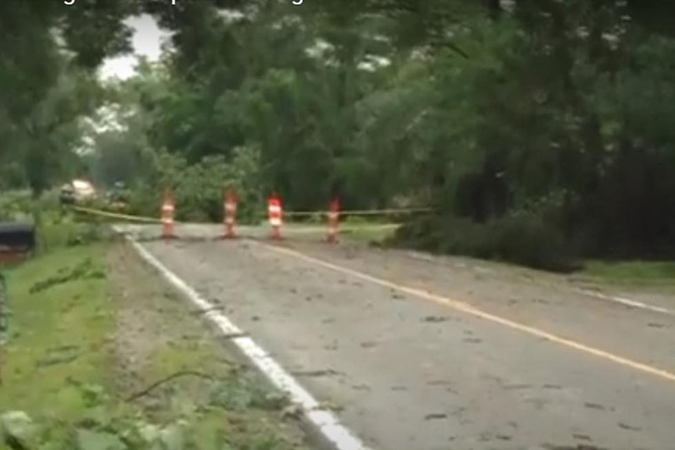 Severe Storms Cause Extensive Damage Throughout Much of Lower Michigan [VIDEOS]
