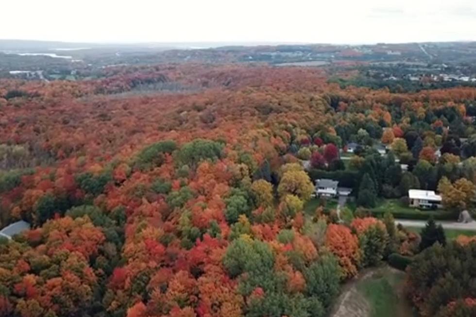 Nine Michigan Color Tours You Can Do in a Day