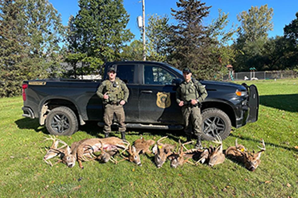 Michigan Man May Have to Pay $59K After Poaching Nine Deer