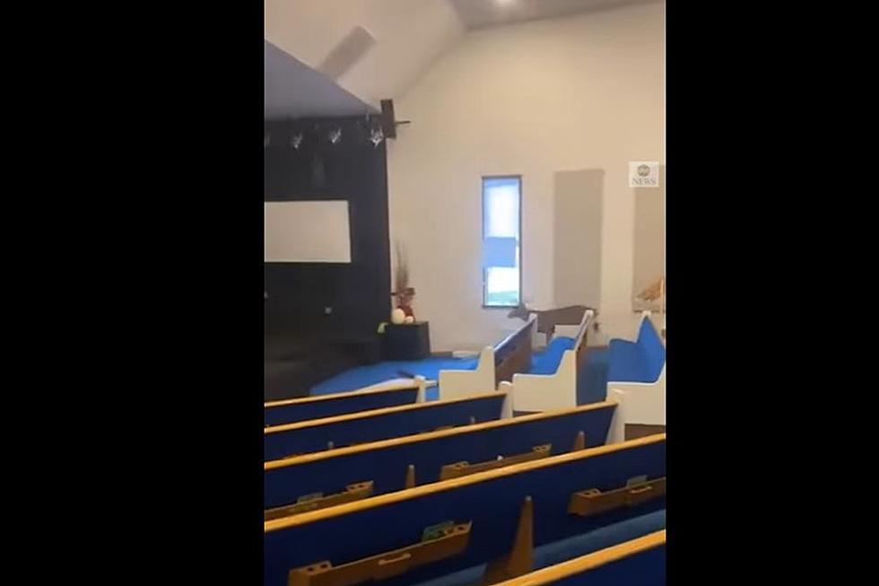 Oh Deer:  Buck Seeks Sanctuary at a Church in Sturgis, Michigan