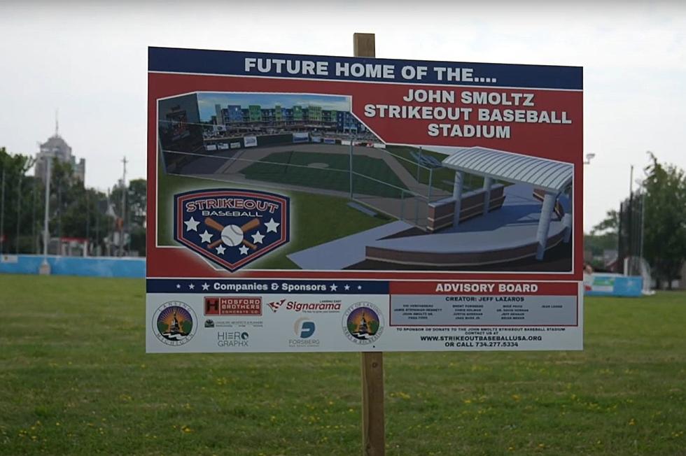 First 'Strikeout Baseball' Stadium Coming To Lansing 