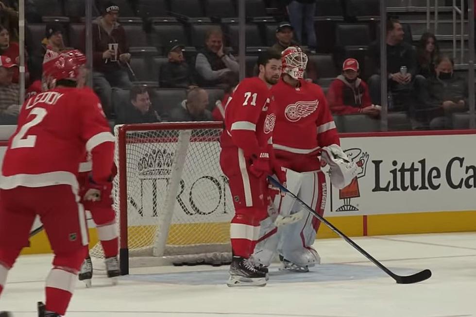 Red Wings' Dylan Larkin Makes it Right After Spilling Fan's Beer 