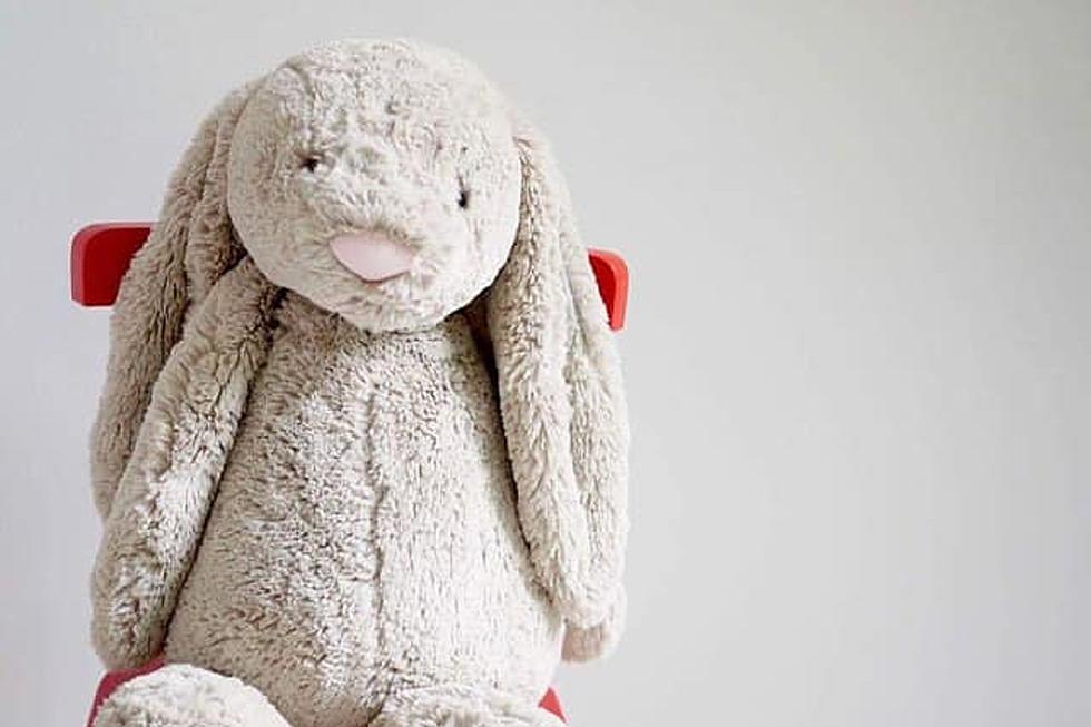 Have You Seen This Bunny? Michigan Mom Puts Out a Facebook APB for Lost Toy