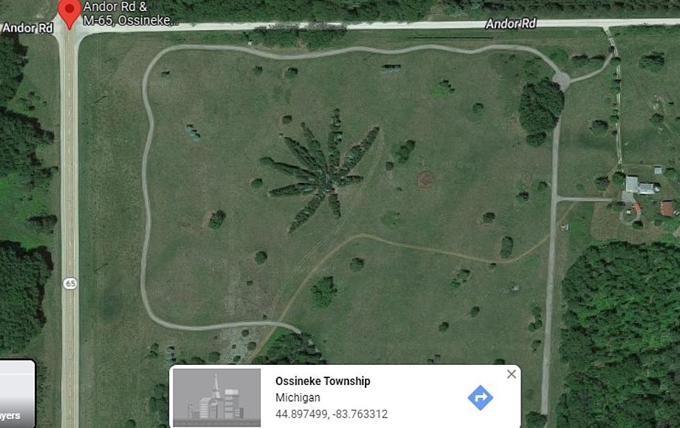 Check Out These Crazy Michigan Google Maps Images &#8211; One is Nearby