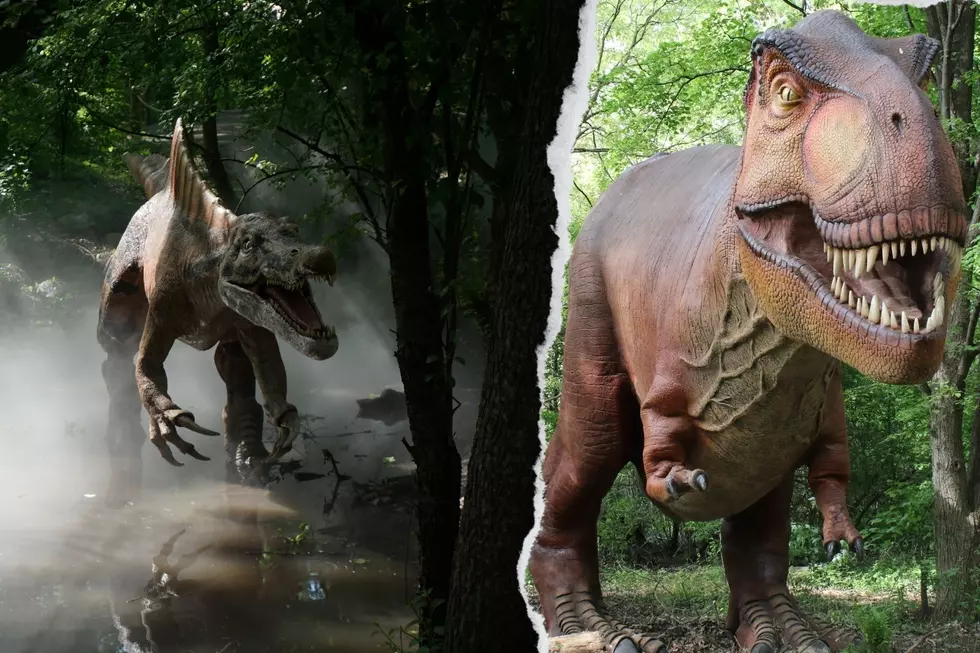 Ready to Go Back in Time? Dinosauria Returns to Detroit Zoo