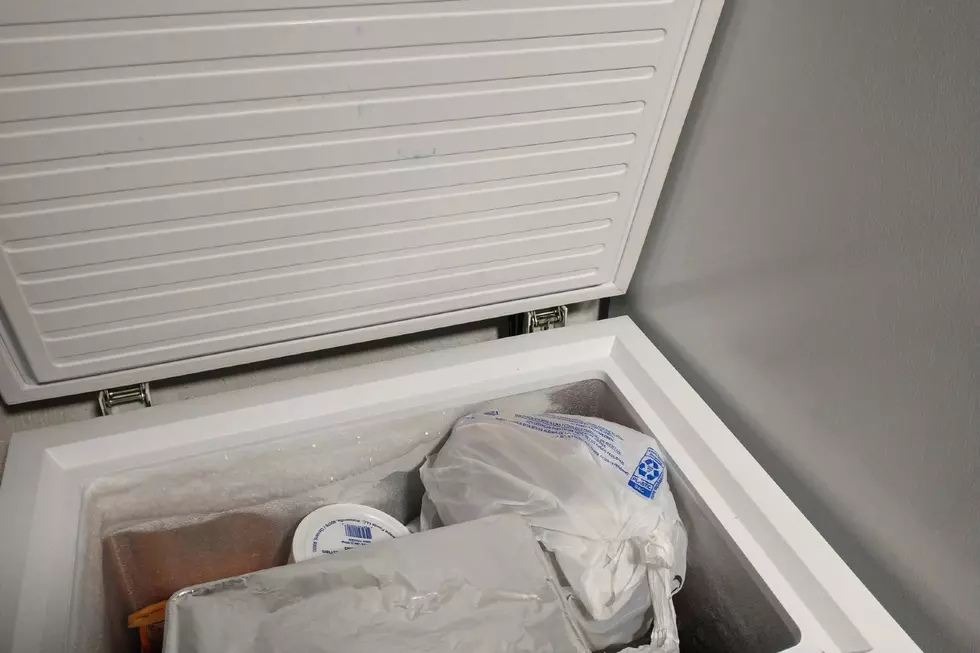 Michigan Mother Arrested After 3-Year-Old’s Body Discovered in Family’s Freezer