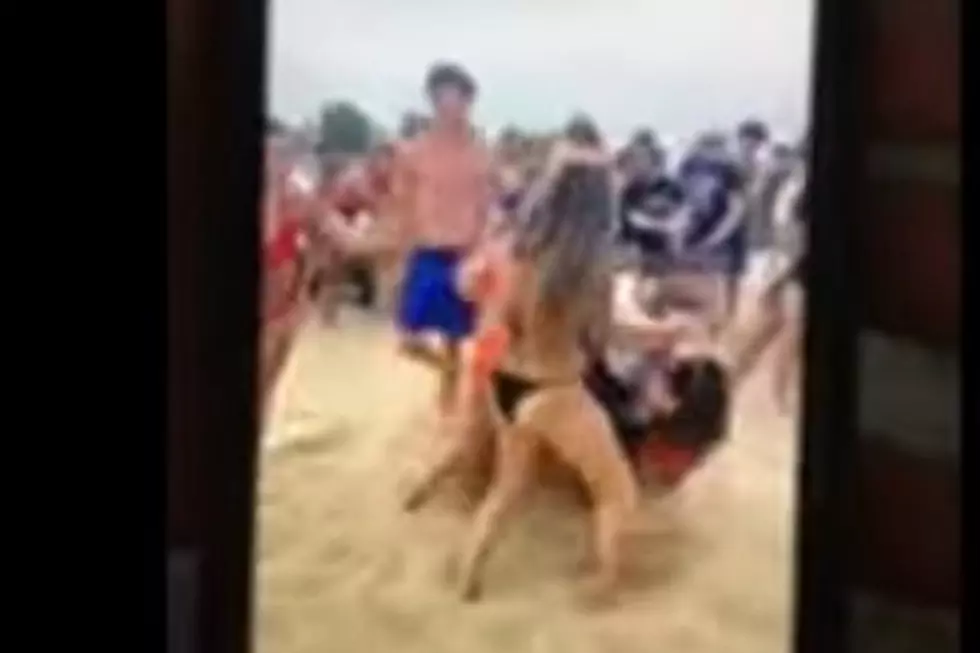 Brawl at Huron County Beach is a Repeat of 2019 Melee [VIDEO]
