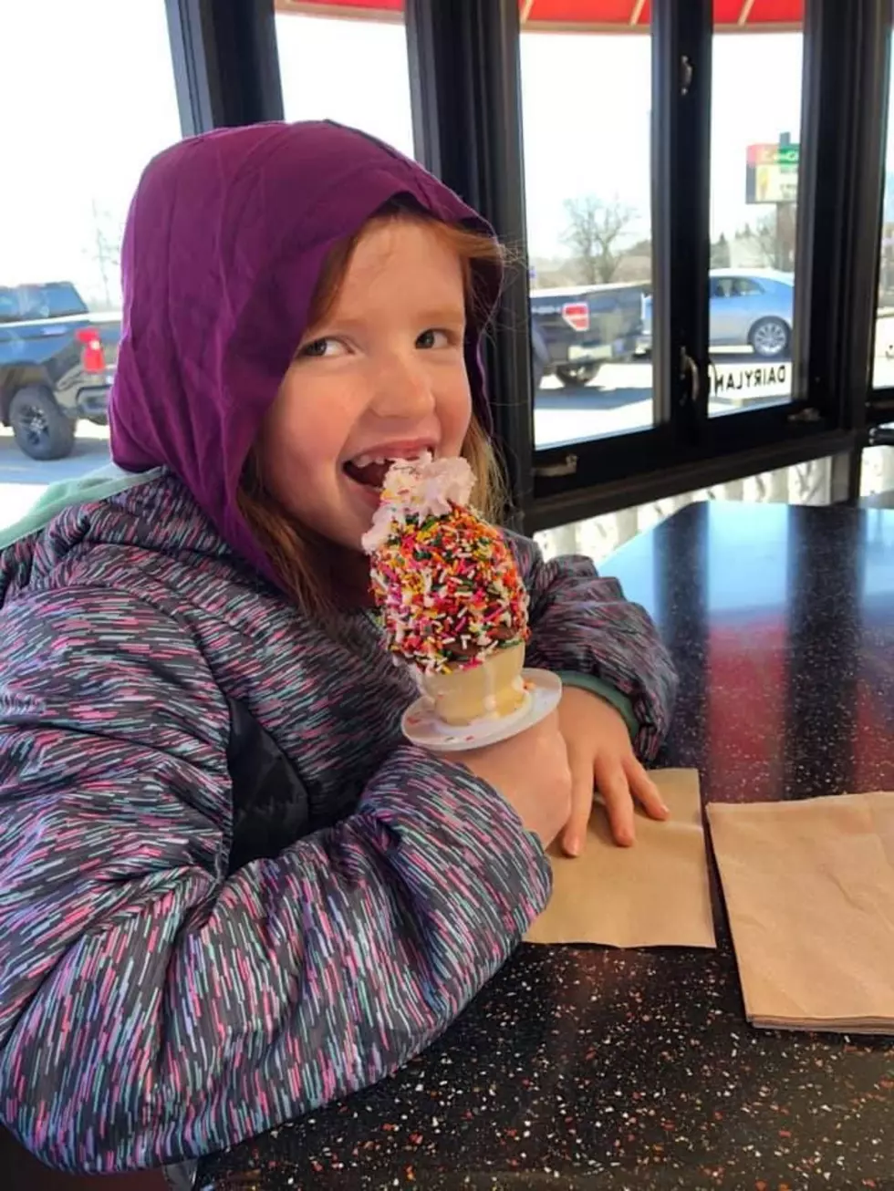 I Scream, You Scream, For These Genesee County MI Ice Cream Shops to Open