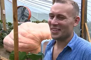 It’s the Great Pumpkin – Waterford Man Could be Growing a Record...