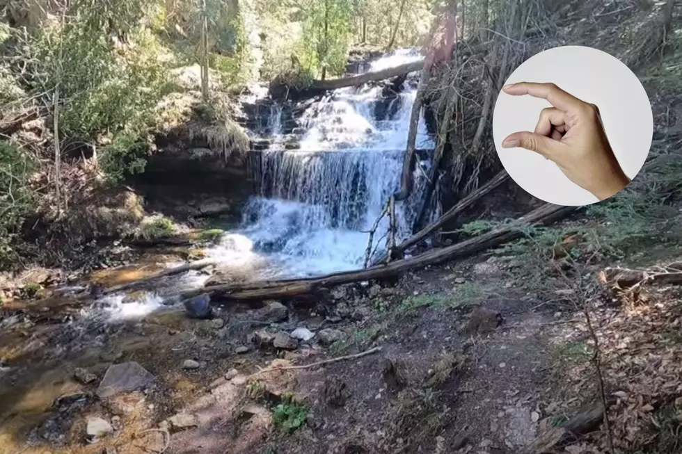 At Just 22 Acres, This is the Smallest State Park in Michigan