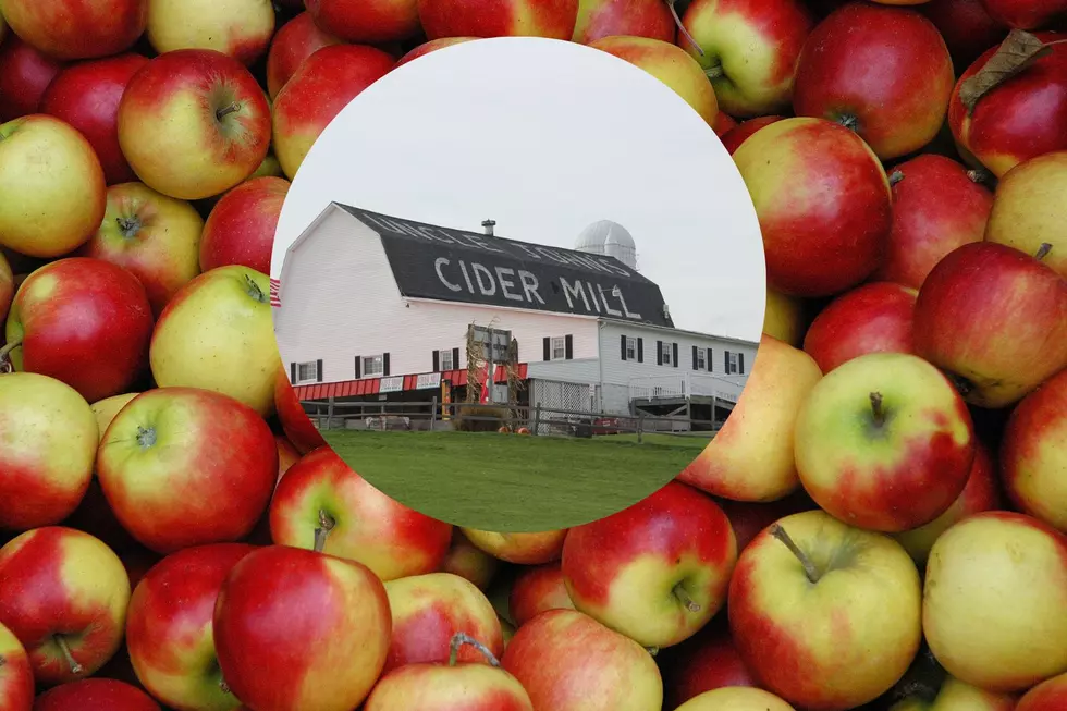 St. John&#8217;s Favorite Named One of The Best Places in Country For Cider Tasting this Fall