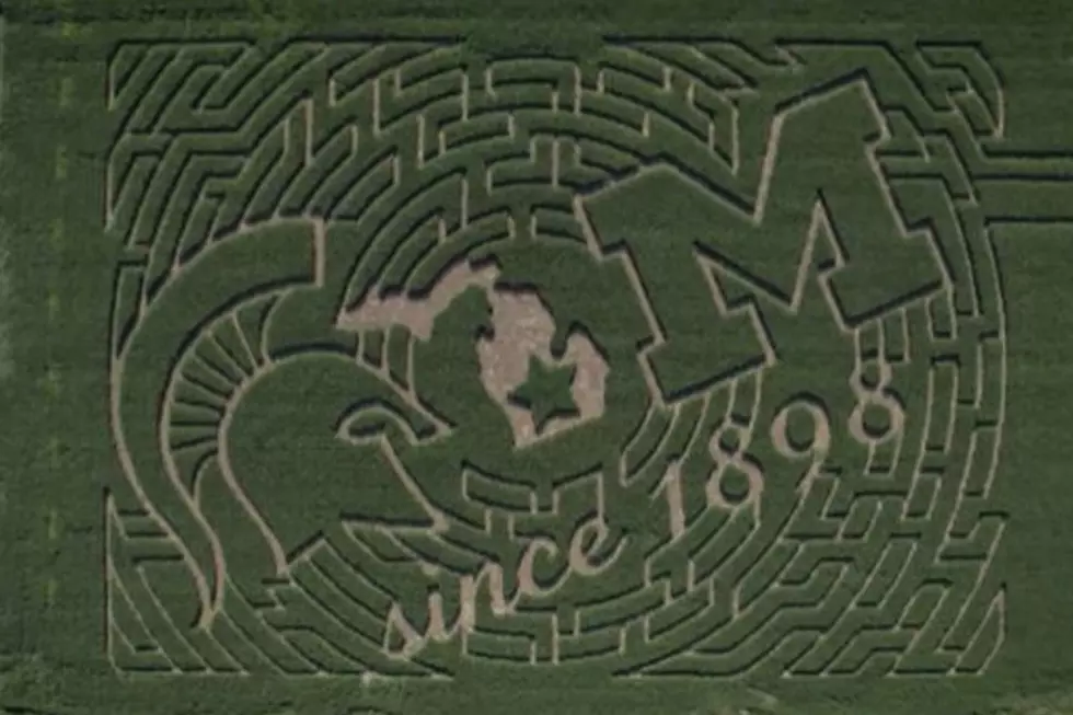 Webberville Farm Creates 12 Acre Michigan V. Michigan State Rivalry Maze