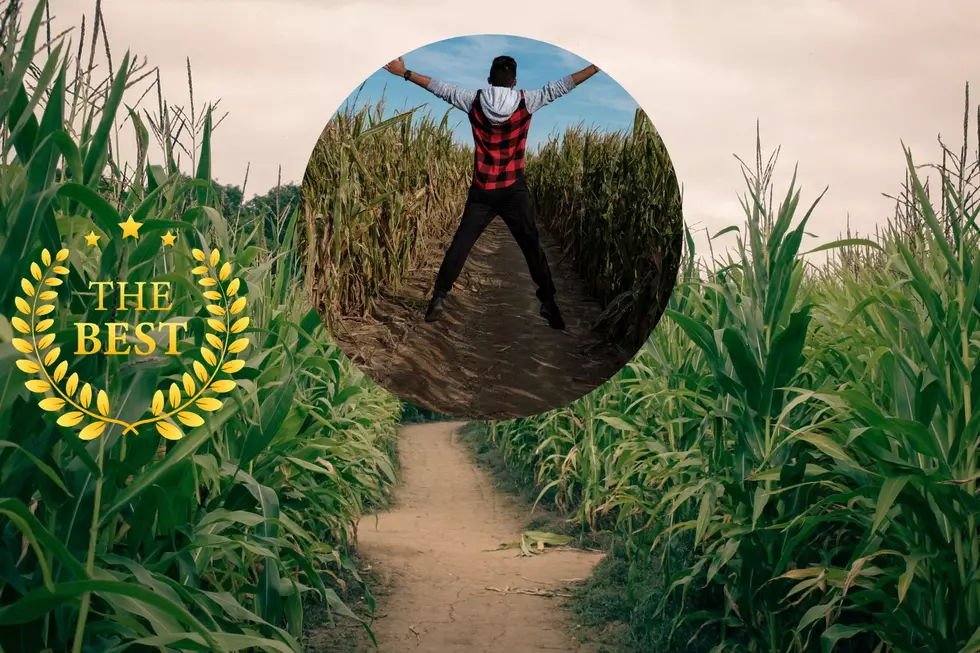 Fall Weather Fun! Michigan’s Home to 2 of the Best Corn Mazes in the Country