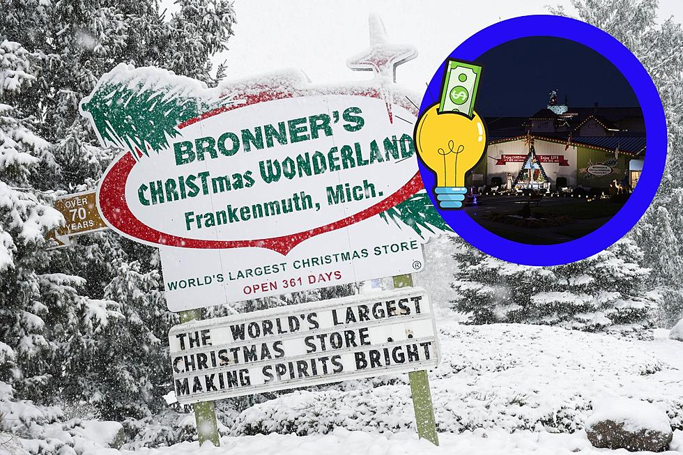 How Much Is Bronner's Light Bill?