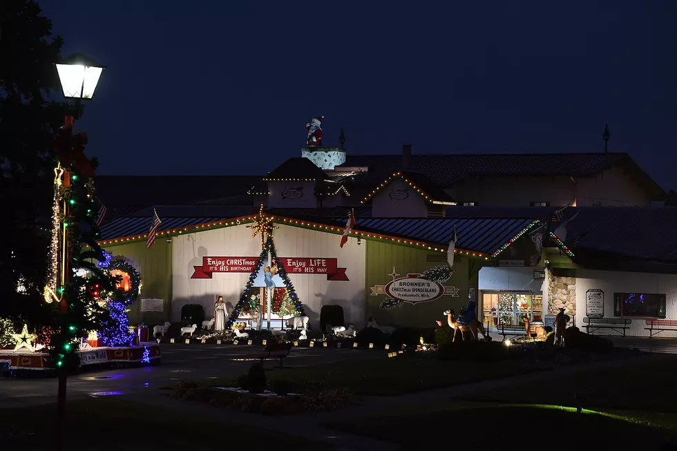 How Much Does It Cost To Run Bronner&#8217;s Adorable Lights in Frankenmuth, Michigan?