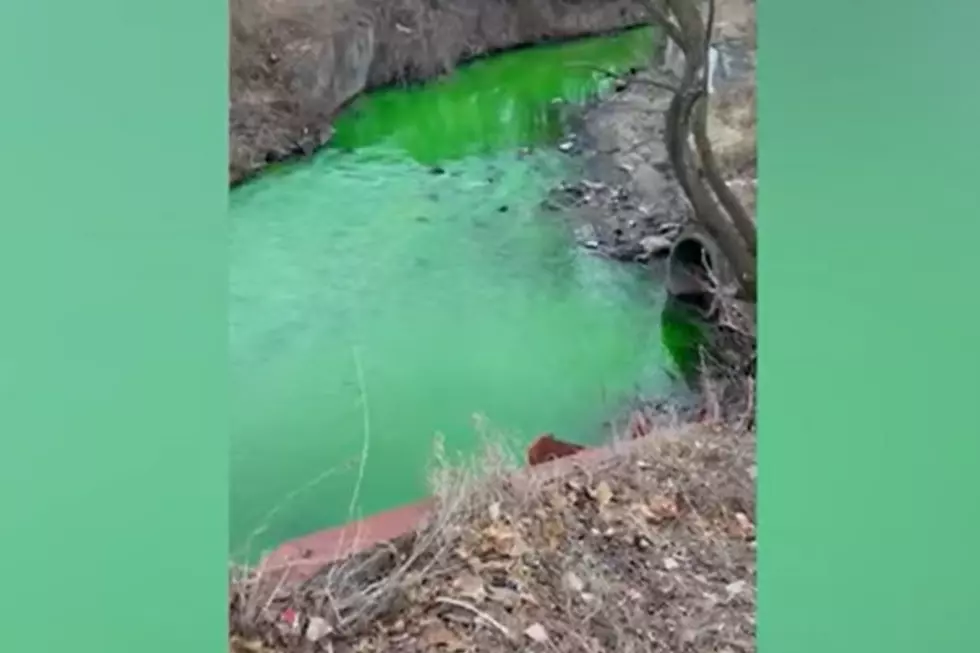 Why Did This Michigan Creek Temporarily Turn Bright Green?