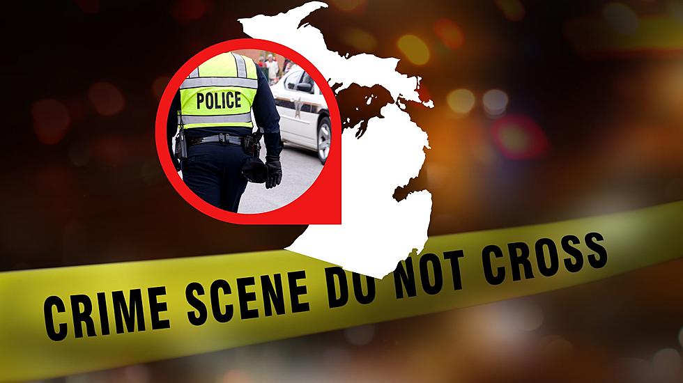 Good Samaritan, Michigan Teen Killed For Helping 13, 14 Year Olds