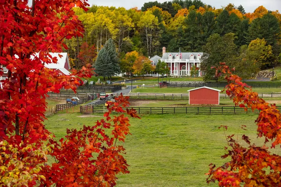 Photo: Black Star Farms Facebook