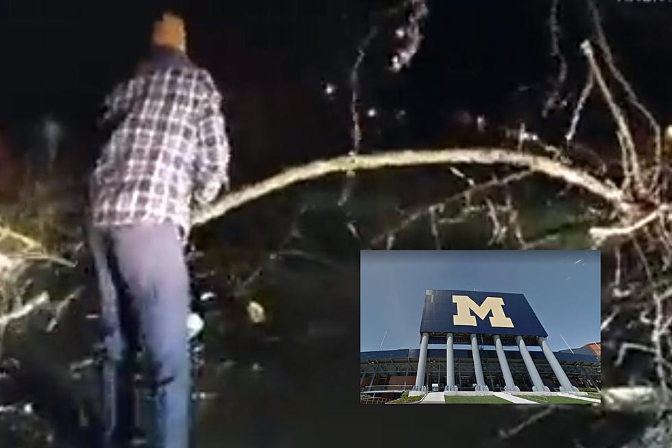 Jim Harbaugh Helps Ann Arbor Police Clear Fallen Tree During Epic Ice Storm