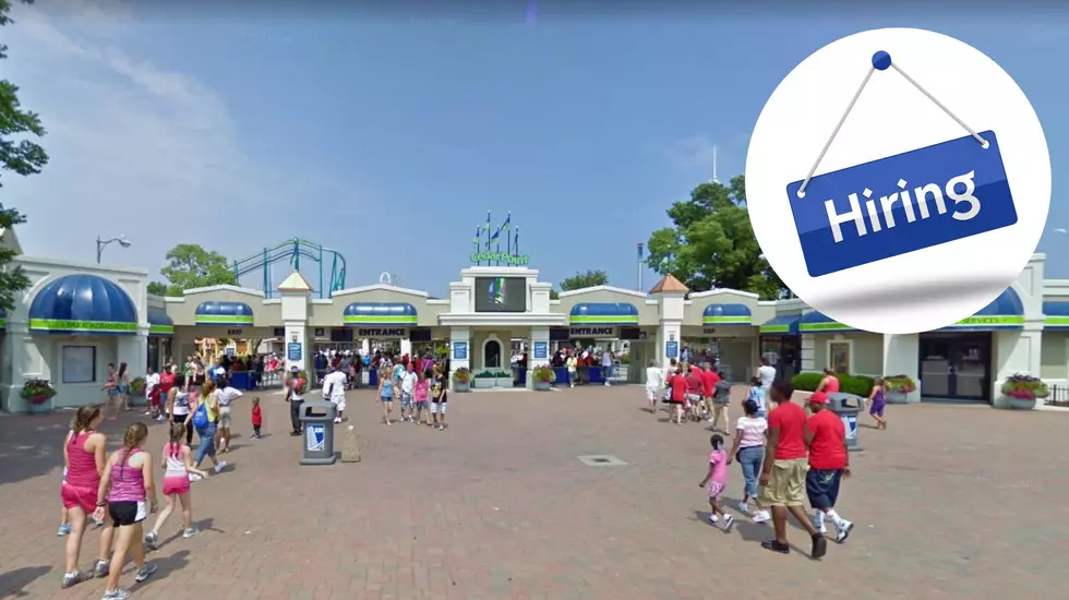 Hey Michigan: Have Fun, Earn $17/Hour At Cedar Point In 2023