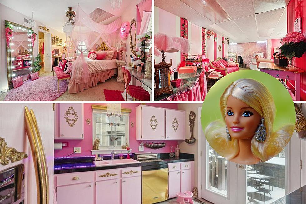 Love Pink? Real Life Barbie Dream House in Ann Arbor Up for Grabs