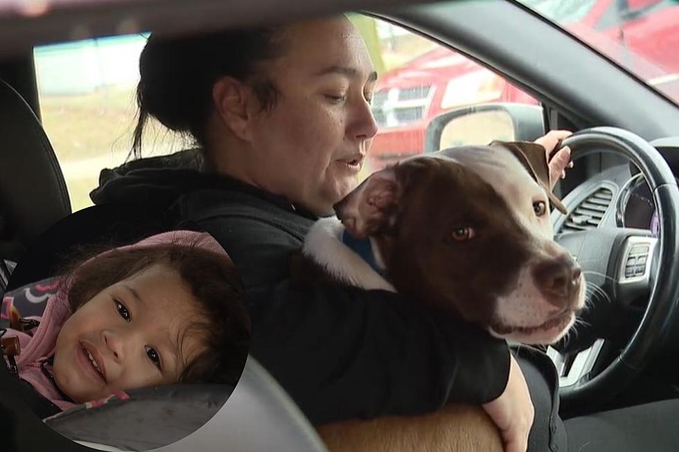 Dog Saves 1-Year-Old Girl When Family's Detroit Home Caught Fire