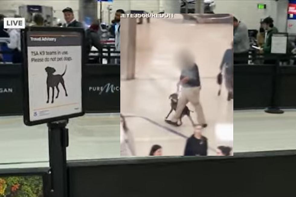 Video of TSA Agent Mishandling Dog at Detroit Metro Airport Goes Viral