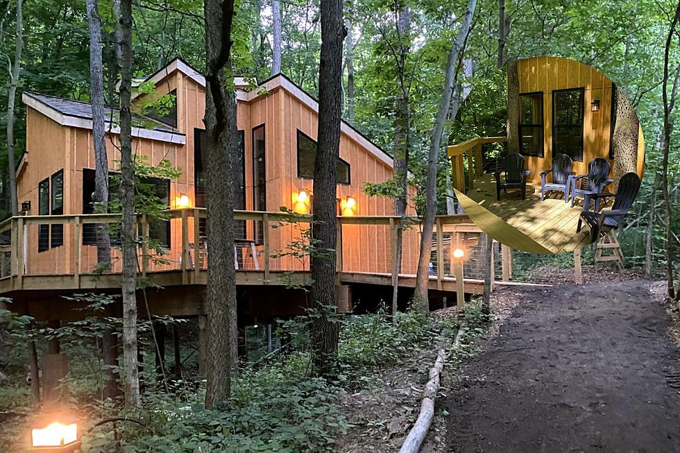 Enjoy Michigan's Fall Splendor at This Luxury Treehouse Resort