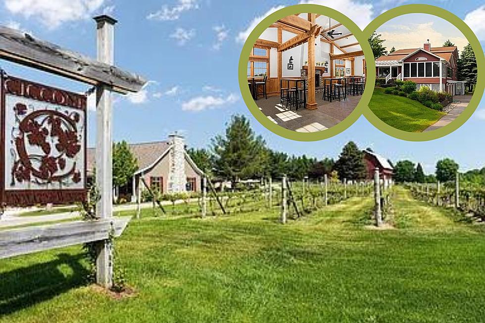 Madonna&#8217;s Family Winery &#038; Vineyard for Sale in Suttons Bay, Michigan