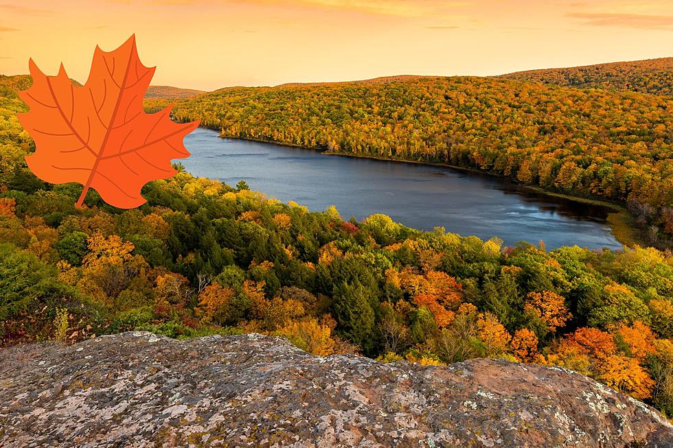 Unlock the Beauty of Michigan: 2023 Peak Fall Color Predictions