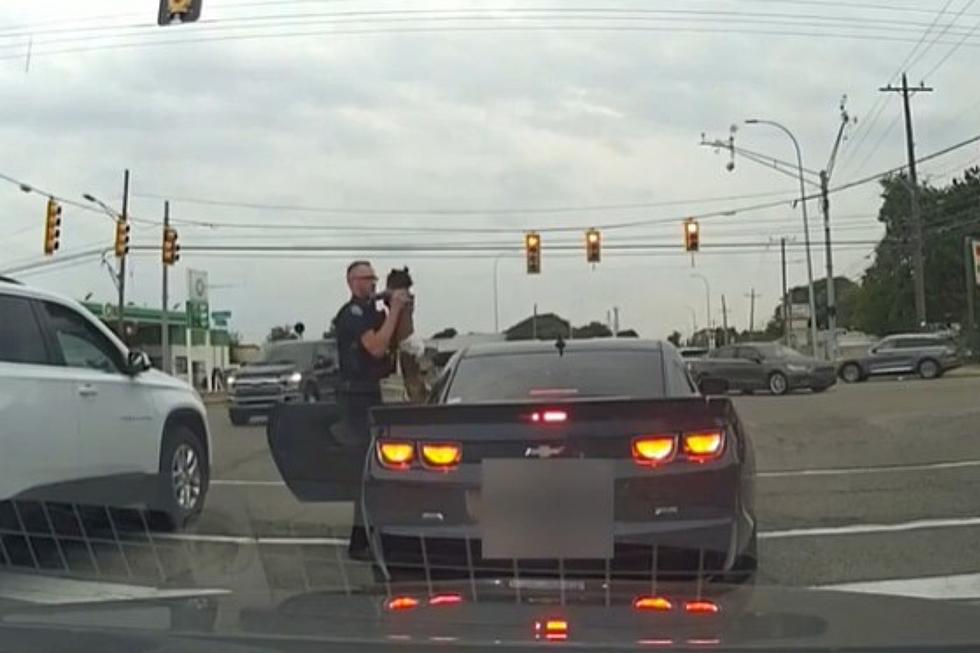 Watch: Police Save Choking Toddler at an Intersection in Warren