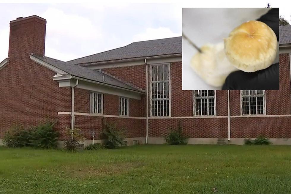 Detroit Church That Gives Mushrooms to Its Members Shut Down 